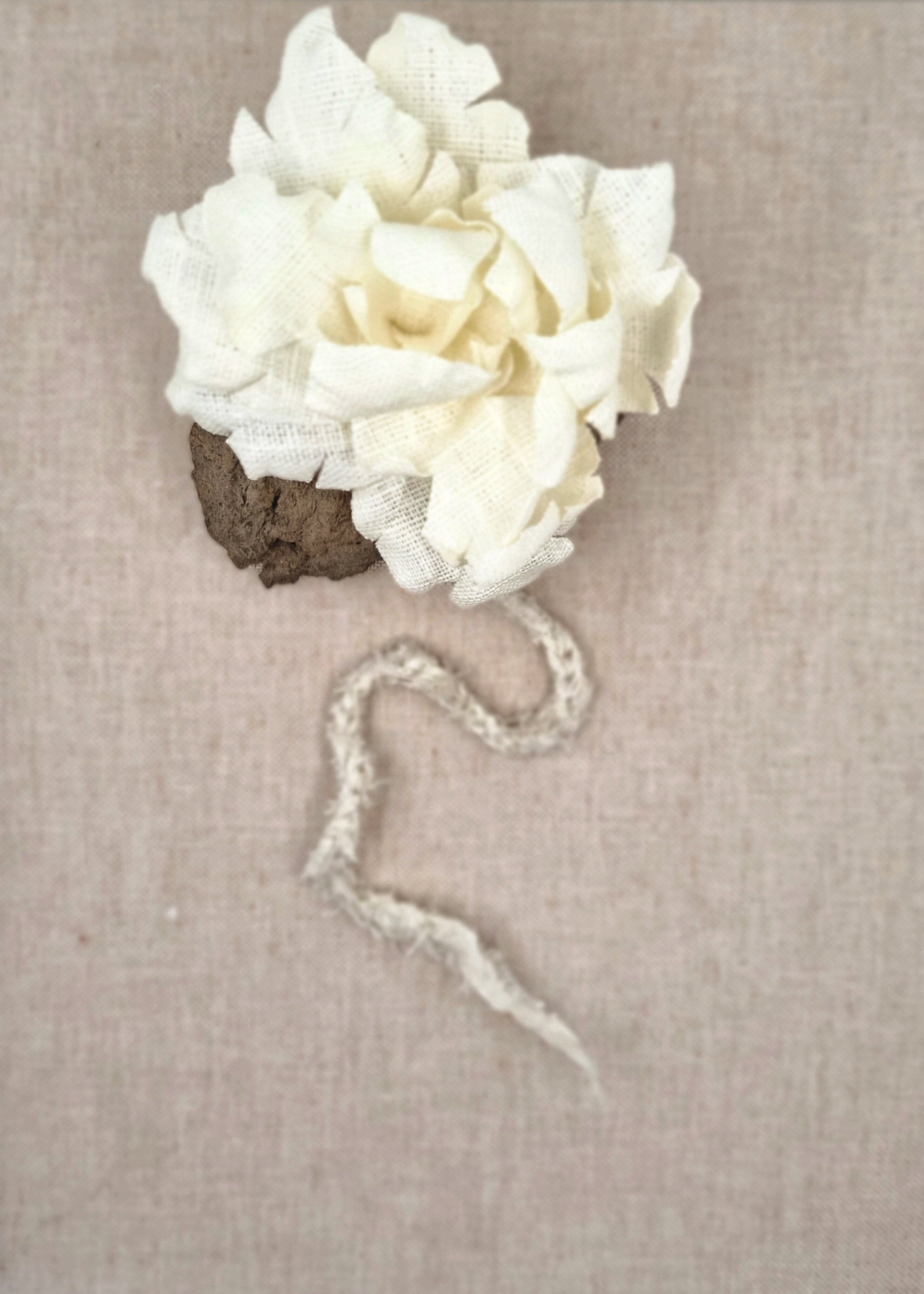 White flower hair clip on a beige background