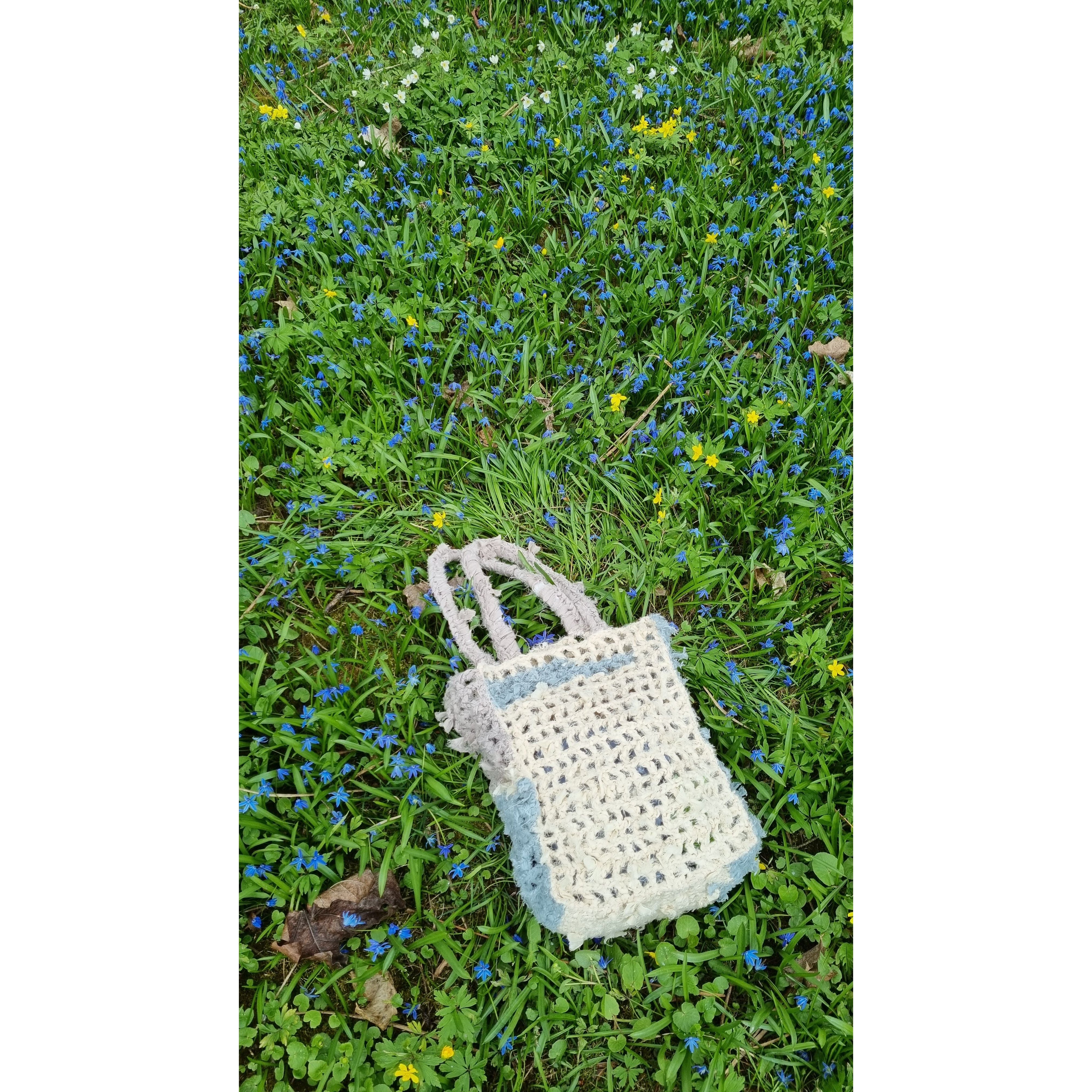 The beach bag