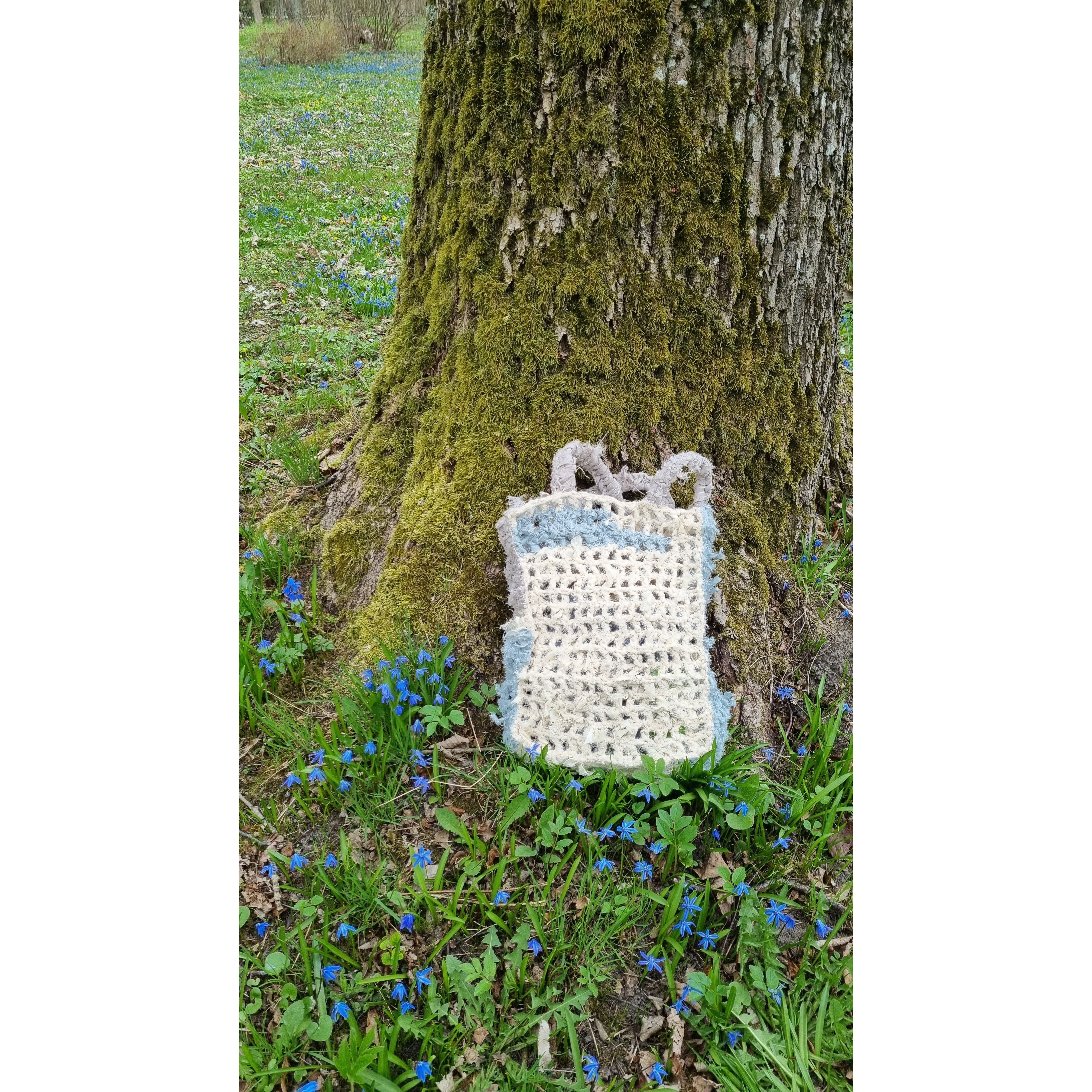 The beach bag